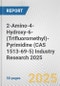 2-Amino-4-Hydroxy-6-(Trifluoromethyl)-Pyrimidine (CAS 1513-69-5) Industry Research 2025: Global and Regional Market Trends 2019-2024 and Forecast to 2029 - Product Thumbnail Image