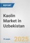 Kaolin Market in Uzbekistan: 2017-2023 Review and Forecast to 2027 - Product Image