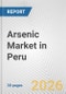 Arsenic Market in Peru: 2019-2024 Review and Forecast to 2029 - Product Thumbnail Image