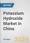 Potassium Hydroxide Market in China: 2017-2023 Review and Forecast to 2027- Product Image