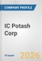 IC Potash Corp. Fundamental Company Report Including Financial, SWOT, Competitors and Industry Analysis - Product Thumbnail Image