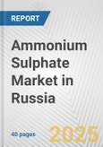 Ammonium Sulphate Market in Russia: 2019-2024 Review and Forecast to 2029- Product Image
