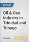 Oil & Gas Industry in Trinidad and Tobago: Business Report 2024 - Product Thumbnail Image