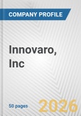 Innovaro, Inc. Fundamental Company Report Including Financial, SWOT, Competitors and Industry Analysis- Product Image