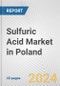 Sulfuric Acid Market in Poland: 2017-2023 Review and Forecast to 2027 - Product Image