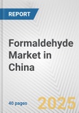 Formaldehyde Market in China: 2019-2024 Review and Forecast to 2029- Product Image
