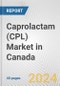 Caprolactam (CPL) Market in Canada: 2016-2022 Review and Forecast to 2026 - Product Thumbnail Image