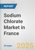 Sodium Chlorate Market in France: 2019-2024 Review and Forecast to 2029- Product Image