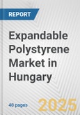 Expandable Polystyrene Market in Hungary: 2019-2024 Review and Forecast to 2029- Product Image