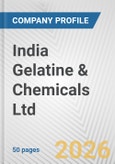 India Gelatine & Chemicals Ltd. Fundamental Company Report Including Financial, SWOT, Competitors and Industry Analysis- Product Image