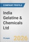 India Gelatine & Chemicals Ltd. Fundamental Company Report Including Financial, SWOT, Competitors and Industry Analysis - Product Thumbnail Image