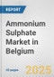 Ammonium Sulphate Market in Belgium: 2019-2024 Review and Forecast to 2029 - Product Thumbnail Image