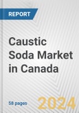 Caustic Soda Market in Canada: 2017-2023 Review and Forecast to 2027- Product Image