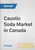 Caustic Soda Market in Canada: 2019-2024 Review and Forecast to 2029- Product Image