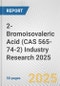 2-Bromoisovaleric Acid (CAS 565-74-2) Industry Research 2025: Global and Regional Market Trends 2019-2024 and Forecast to 2029 - Product Thumbnail Image