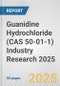 Guanidine Hydrochloride (CAS 50-01-1) Industry Research 2025: Global and Regional Market Trends 2019-2024 and Forecast to 2029 - Product Image