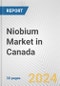 Niobium Market in Canada: 2017-2023 Review and Forecast to 2027 - Product Thumbnail Image