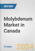 Molybdenum Market in Canada: 2017-2023 Review and Forecast to 2027- Product Image