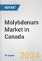 Molybdenum Market in Canada: 2017-2023 Review and Forecast to 2027 - Product Thumbnail Image