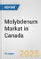 Molybdenum Market in Canada: 2017-2023 Review and Forecast to 2027 - Product Thumbnail Image