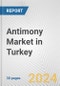 Antimony Market in Turkey: 2017-2023 Review and Forecast to 2027 - Product Thumbnail Image
