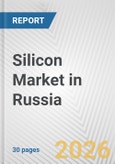 Silicon Market in Russia: 2019-2024 Review and Forecast to 2029- Product Image