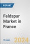 Feldspar Market in France: 2017-2023 Review and Forecast to 2027 - Product Thumbnail Image