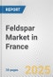 Feldspar Market in France: 2017-2023 Review and Forecast to 2027 - Product Thumbnail Image