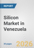 Silicon Market in Venezuela: 2019-2024 Review and Forecast to 2029- Product Image