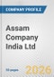 Assam Company India Ltd Fundamental Company Report Including Financial, SWOT, Competitors and Industry Analysis - Product Thumbnail Image