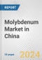 Molybdenum Market in China: 2017-2023 Review and Forecast to 2027 - Product Thumbnail Image
