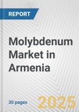 Molybdenum Market in Armenia: 2017-2023 Review and Forecast to 2027- Product Image