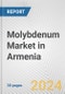 Molybdenum Market in Armenia: 2017-2023 Review and Forecast to 2027 - Product Thumbnail Image