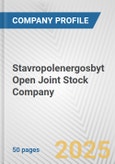 Stavropolenergosbyt Open Joint Stock Company Fundamental Company Report Including Financial, SWOT, Competitors and Industry Analysis- Product Image