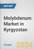 Molybdenum Market in Kyrgyzstan: 2017-2023 Review and Forecast to 2027- Product Image