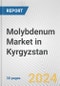 Molybdenum Market in Kyrgyzstan: 2017-2023 Review and Forecast to 2027 - Product Thumbnail Image