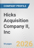 Hicks Acquisition Company II, Inc. Fundamental Company Report Including Financial, SWOT, Competitors and Industry Analysis- Product Image