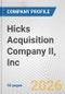 Hicks Acquisition Company II, Inc. Fundamental Company Report Including Financial, SWOT, Competitors and Industry Analysis - Product Thumbnail Image