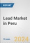 Lead Market in Peru: 2017-2023 Review and Forecast to 2027 - Product Thumbnail Image