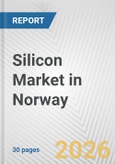 Silicon Market in Norway: 2019-2024 Review and Forecast to 2029- Product Image