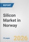 Silicon Market in Norway: 2019-2024 Review and Forecast to 2029 - Product Thumbnail Image