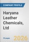 Haryana Leather Chemicals, Ltd. Fundamental Company Report Including Financial, SWOT, Competitors and Industry Analysis - Product Thumbnail Image