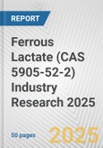 Ferrous Lactate (CAS 5905-52-2) Industry Research 2025: Global and Regional Market Trends 2019-2024 and Forecast to 2029- Product Image