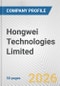Hongwei Technologies Limited. Fundamental Company Report Including Financial, SWOT, Competitors and Industry Analysis - Product Thumbnail Image