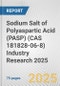 Sodium Salt of Polyaspartic Acid (PASP) (CAS 181828-06-8) Industry Research 2025: Global and Regional Market Trends 2019-2024 and Forecast to 2029 - Product Image