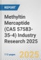 Methyltin Mercaptide (CAS 57583-35-4) Industry Research 2025: Global and Regional Market Trends 2019-2024 and Forecast to 2029 - Product Thumbnail Image