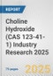 Choline Hydroxide (CAS 123-41-1) Industry Research 2025: Global and Regional Market Trends 2019-2024 and Forecast to 2029 - Product Image