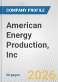 American Energy Production, Inc. Fundamental Company Report Including Financial, SWOT, Competitors and Industry Analysis- Product Image
