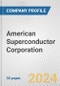 American Superconductor Corporation Fundamental Company Report Including Financial, SWOT, Competitors and Industry Analysis - Product Thumbnail Image