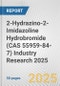 2-Hydrazino-2-Imidazoline Hydrobromide (CAS 55959-84-7) Industry Research 2025: Global and Regional Market Trends 2019-2024 and Forecast to 2029 - Product Image